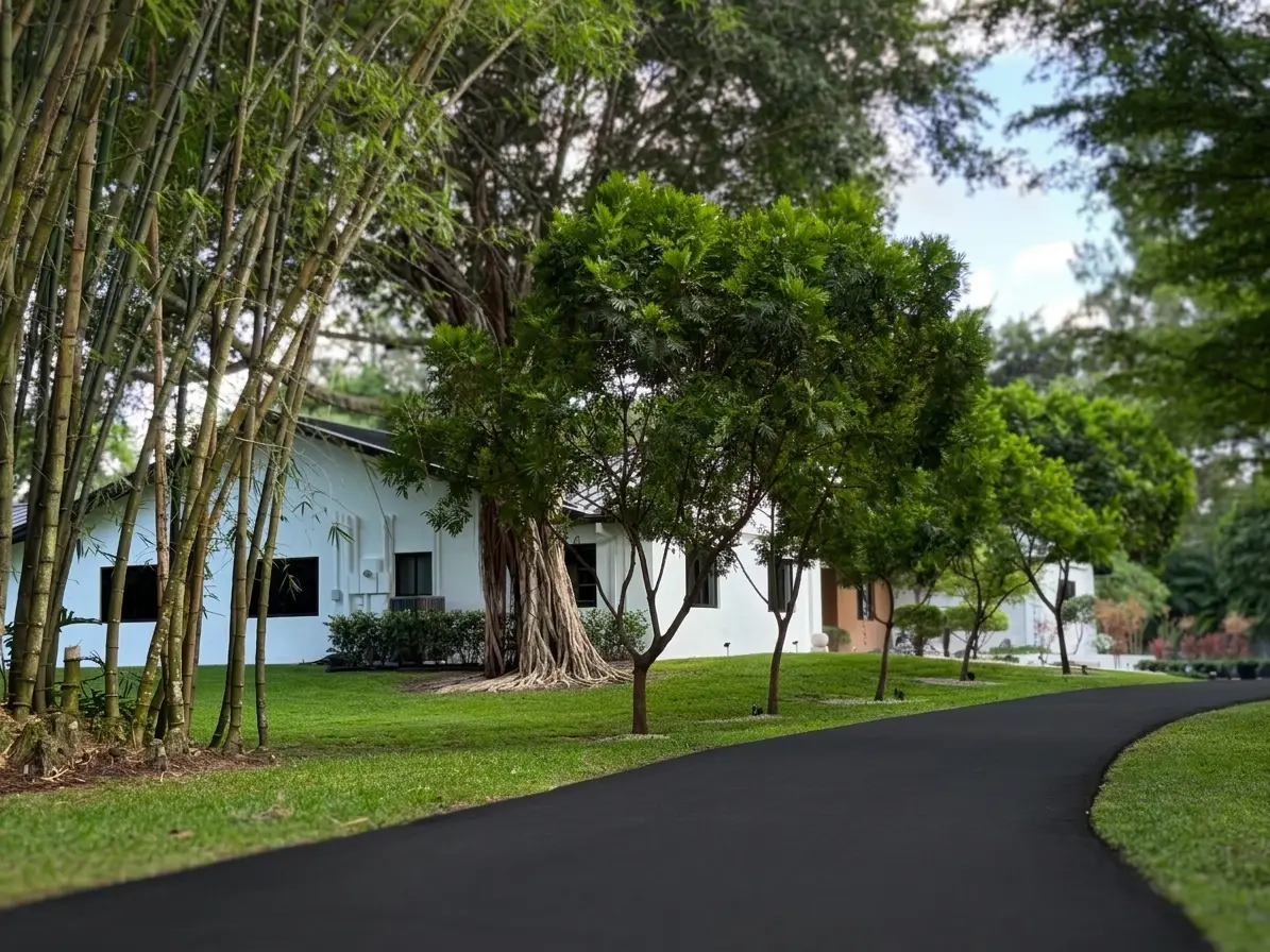 Motor court from east gate, paver surface and tree canopy